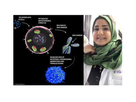 La prot&eacute;ine Tat du VIH-1 attaque l&rsquo;ADN dans les cellules B | Life Sciences Universit&eacute; Paris-Saclay | Scoop.it