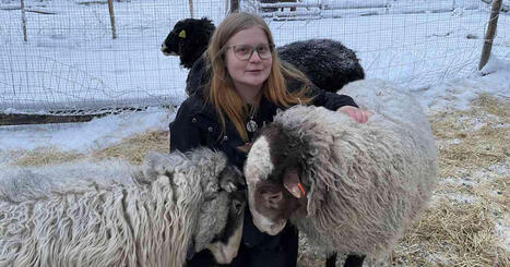 Juukalais&shy;lampaat Kenai, Bambi ja Ronno n&auml;yttelev&auml;t Kullervon tarinassa &ndash; Elias Salonen sai tiukat ohjeet kohtelusta | Kulttuuri | Yle | 1Uutiset - Lukemisen t&auml;hden | Scoop.it