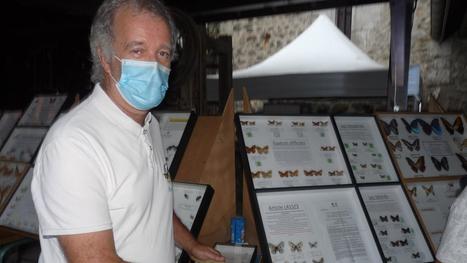 Philippe Francoz à Ugine : « Il y a une chasse illégale de papillons rares » | Variétés entomologiques | Scoop.it