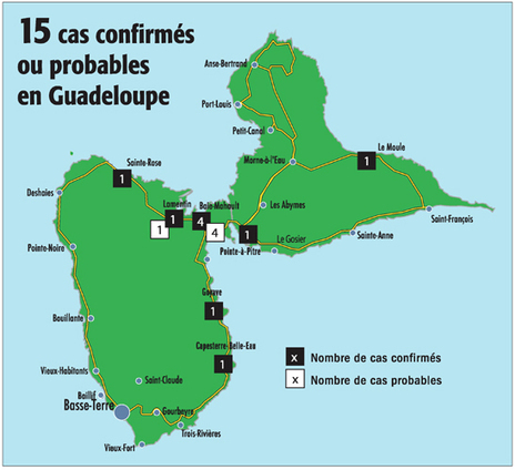 Chikungunya : vers une épidémie de grande ampleur | EntomoNews | Scoop.it