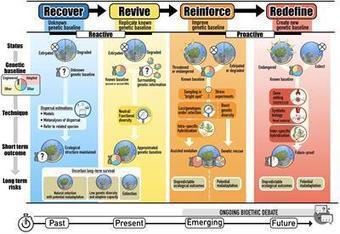 Restore or Redefine: Future Trajectories for Restoration  - Marine Science | Biodiversité | Scoop.it