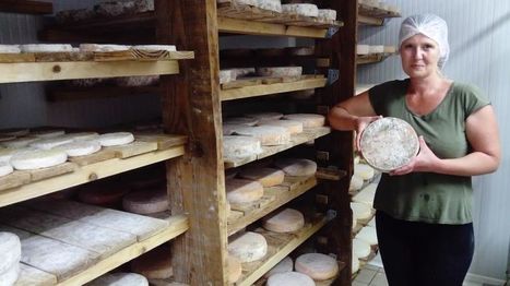 Ces fromages méconnus, trésors insoupçonnés de l'Auvergne | Lait de Normandie... et d'ailleurs | Scoop.it