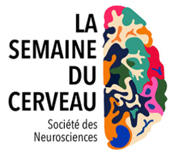 Semaine du cerveau 2026 &agrave; NeuroPSI et NeuroSpin &ndash; 16-20 mars 2026 | Life Sciences Universit&eacute; Paris-Saclay | Scoop.it