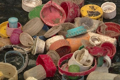 A Brest, les scientifiques suivent &agrave; la trace, les d&eacute;chets plastiques sur le littoral / le 08.02.2022 | Pollution accidentelle des eaux (+ d&eacute;chets plastiques) | Scoop.it