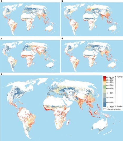 Global priority areas for ecosystem restoration | Biodiversité | Scoop.it