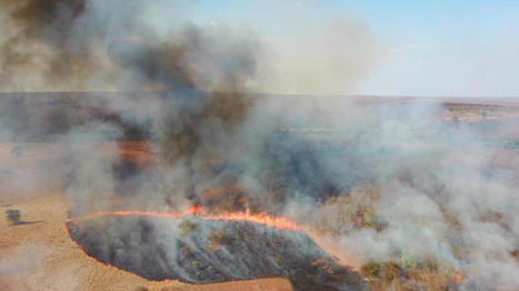 Soya linked to fires and deforestation in Brazil feeds chicken sold on the British high street | Sustainable Procurement News | Scoop.it