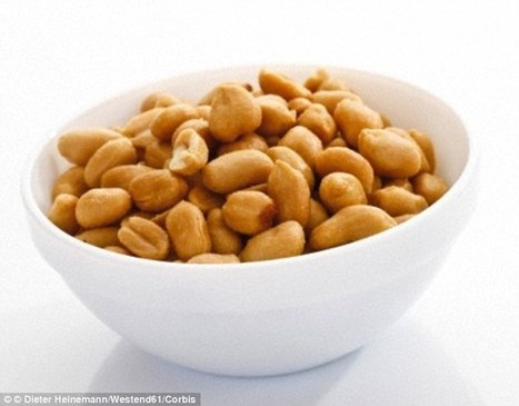 Firm develops patch to stops reactions in peanut allergy sufferers - Daily Mail | Allergy (and clinical immunology) | Scoop.it