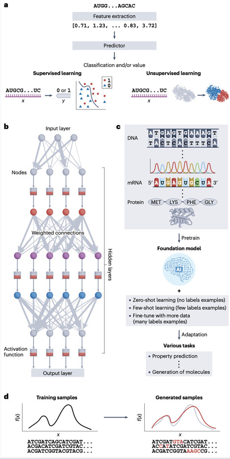 Harnessing artificial intelligence to advance CRISPR-based genome editing technologies | Nrg | RMH | Scoop.it