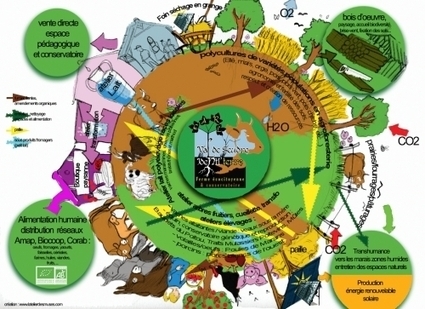 Le cercle vertueux de l'agroforesterie et d'une ferme diversifi&eacute;e | Paysage - Agriculture | Scoop.it