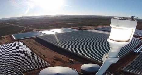 Sundrop&nbsp;: la ferme du futur fait pousser ses tomates &agrave; l'eau de mer | INNOVATIONS | Scoop.it