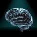 Rare brain disease in children: Major breakthroughs in Rasmussen's encephalitis | AntiNMDA | Scoop.it