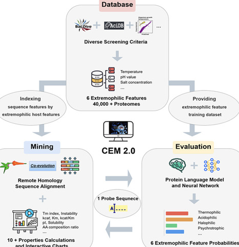 CEM 2.0: Co-evolution&ndash;guided mining of superior extremophilic proteins via a curated proteome database and protein language model | RMH | Scoop.it
