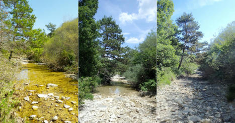 DRYrivERS&nbsp;: une application pour signaler les cours d'eau qui disparaissent - Actu-environnement | Pour innover en agriculture | Scoop.it