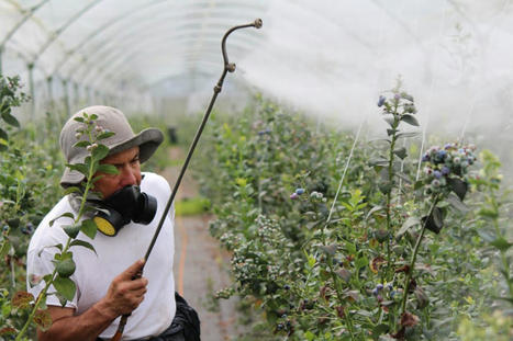 Pesticides : un groupe d’experts indépendants va étudier l’efficacité des EPI dans le monde agricole | Previsoft | Prévention du risque chimique | Scoop.it