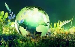 Baromètre : Les Français placent l’environnement pour la première fois en haut de la liste de leurs préoccupations | Biodiversité | Scoop.it