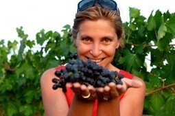 Movimento Turismo del Vino puts boutique Italian vineyards on the map | Essência Líquida | Scoop.it