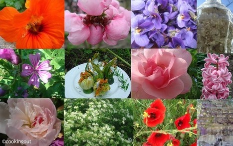 Voici une liste de 42 fleurs comestibles à déguster | La Sagesse de la Nature | Scoop.it