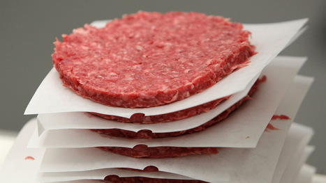 Walmart to transition to sustainable beef supply chain | Sustainable Procurement News | Scoop.it