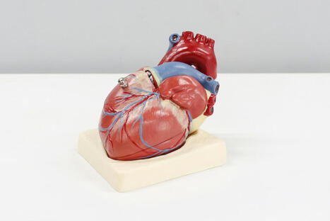 Cientistas criam minirrob&ocirc;s que levam antibi&oacute;ticos direto ao cora&ccedil;&atilde;o e podem evitar cirurgia aberta | Inova&ccedil;&atilde;o Educacional | Scoop.it