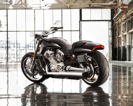 Maxabout Images: 2014 Harley-Davidson V-Rod Muscle | Maxabout Motorcycles | Scoop.it