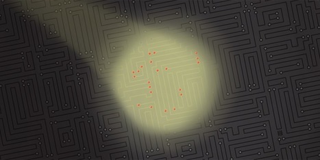 The Connections Between Us: Learning to Leverage the Power of a Network Approach | Building Networks | Scoop.it