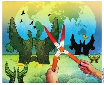 NGOs Are Not For Culling | Global Public Goods and Bads, Culture, Social Policy, Population and Migration, NGO's, NonProfit | Scoop.it