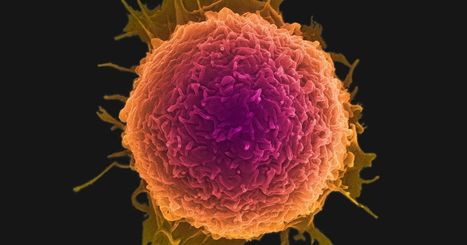 Nano-sized discs teach your body to fight cancer | #Research #Health #NanoTechnology | 21st Century Innovative Technologies and Developments as also discoveries, curiosity ( insolite)... | Scoop.it