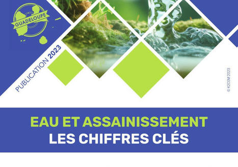 Chiffres clés de l’eau et de l’assainissement 2023 en Guadeloupe | Biodiversité | Scoop.it