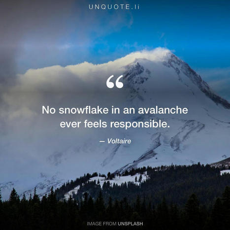 No snowflake in an avalanche ever feels responsible ‒ Voltaire | Italian Social Marketing Association -   Newsletter 216 | Scoop.it