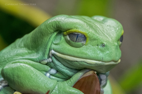 Ignore 'Must Have' Gear Advice - Thomas Stirr Photography | Mirrorless Cameras | Scoop.it