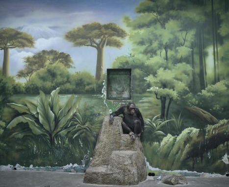 Photographer Zed Nelson reveals the ‘illusion’ of nature - The Anthropocene Illusion - healing spaces | Hospitals and Healthcare | Scoop.it