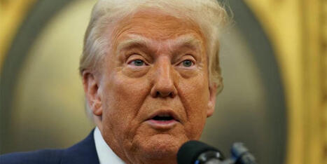 'This sounds desperate': MSNBC panel dismantles early morning Trump claim - Raw Story | Operation Phobos | Scoop.it