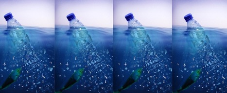 Pesky plastic: The true harm of microplastics in the oceans | Coastal Restoration | Scoop.it