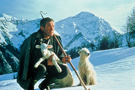 Les 4 saisons du berger &agrave; Azet le 11 ao&ucirc;t | Vall&eacute;es d'Aure & Louron - Pyr&eacute;n&eacute;es | Scoop.it