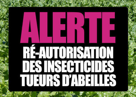 Une r&eacute;-autorisation des n&eacute;onicotino&iuml;des injustifi&eacute;e | EntomoNews | Scoop.it