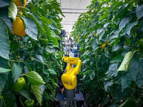 Future of CAP: Robots in the field? | EUROPES | Scoop.it