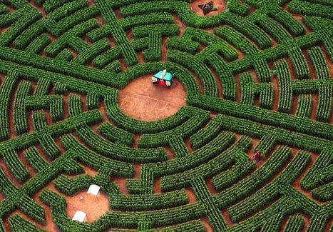 How to make sure nothing gets done at work | Peer2Politics | Scoop.it