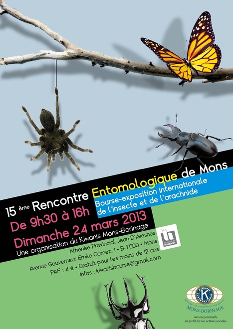 15e Rencontre Entomologique de Mons | Variétés entomologiques | Scoop.it