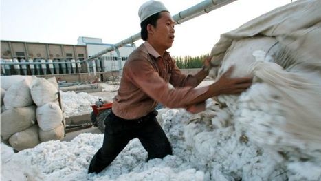 Xinjiang: US to block key exports from Chinese region | International Economics: IB Economics | Scoop.it