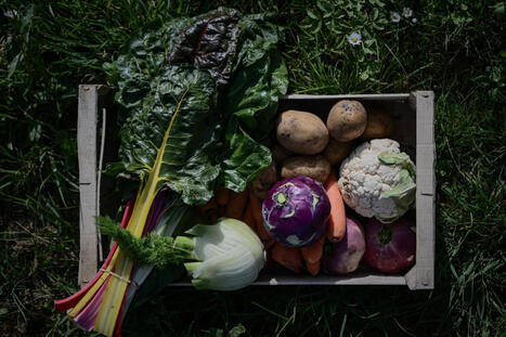 Le syndicat des magasins et des distributeurs bio &eacute;cope d&rsquo;amendes &agrave; hauteur de 12,67&nbsp;millions d&rsquo;euros pour des pratiques jug&eacute;es anticoncurrentielles | Revue de presse du Centre de doc | Scoop.it