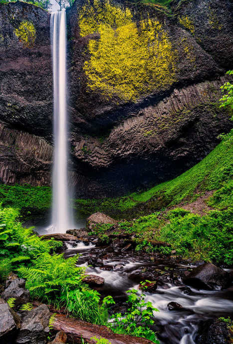 The Oregon Series: Latourell Falls por Perry Hoag | My Photo | Scoop.it