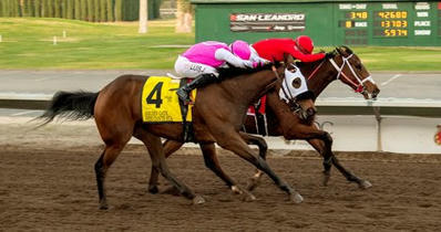 CARF Will Not Pursue Winter-Spring Dates at Pleasanton - BloodHorse | Racing News | Scoop.it