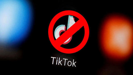 La UE persigue a TikTok por incumplir la nueva Ley de Servicios Digitales | Seo, Social Media Marketing | Scoop.it