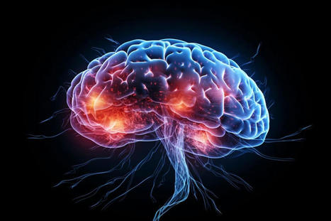 MRI Reveals Lasting Brain Changes in Post-COVID Patients | Covid Report | Scoop.it