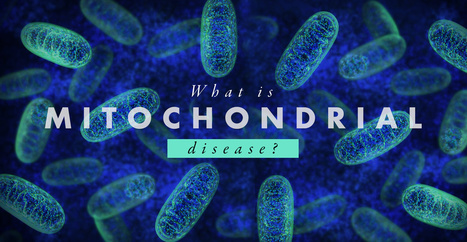 What is Mitochondrial Disease? | El Paso, TX Chiropractor | Call: 915-850-0900 | Neuropathy "The Painful Enigma" | Scoop.it