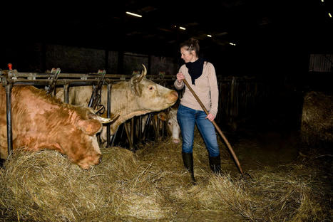 L’abattoir mobile qui va rider la Bourgogne-Franche-Comté | La Gazette des abattoirs | Scoop.it