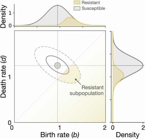 Beyond resistance and tolerance: rethinking evolutionary responses to antibiotics from the perspective of individual bacterial cells | Ncm | RMH | Scoop.it