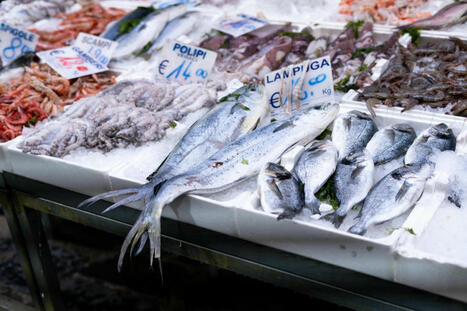 Que signifie vraiment le label MSC sur les étiquettes de poisson ? | Planète DDurable | Scoop.it