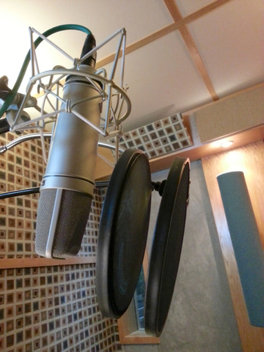 Tips for Minimizing Plosives, Including How to Optimally Place a Pop Screen | Randy Coppinger, Audio Craftsman | Sirenetta Leoni Inside Voiceover—Information + Insights On Voice Acting | Scoop.it
