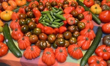 L'UE vote un budget de 172 M€ pour promouvoir ses produits agroalimentaires - Econostrum | Espace Méditerranéen : géopolitique, coopération... | Scoop.it